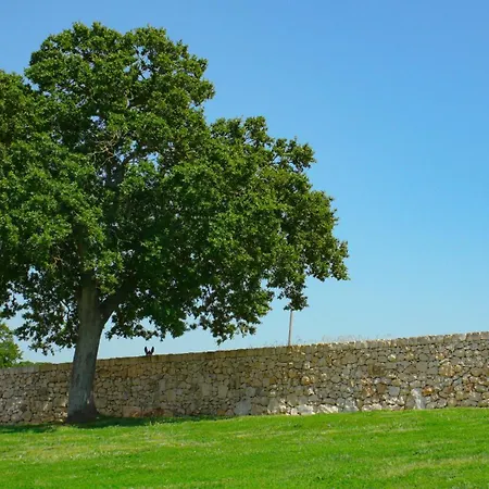 Farmház Masseria Surace