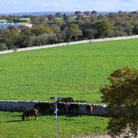 Farm stay Masseria Surace *